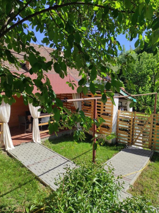 Gabi'S Home #2 Sighișoara Zewnętrze zdjęcie