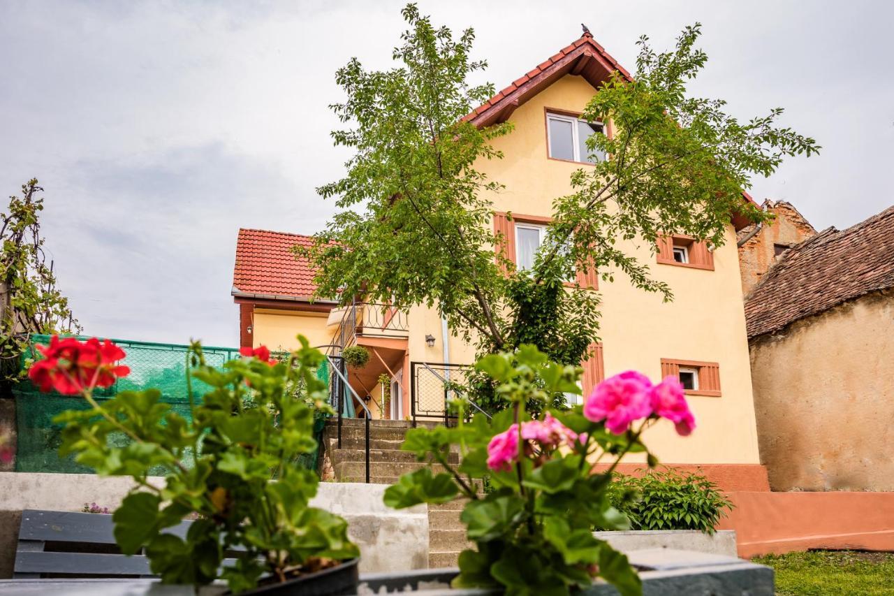 Gabi'S Home #2 Sighișoara Zewnętrze zdjęcie